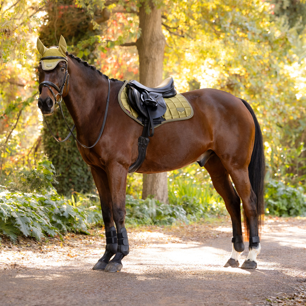 LeMieux Loire Classic Close Contact Square - Gooseberry