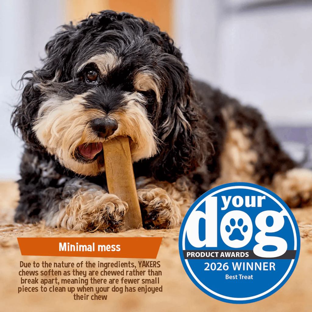 Yakers Dog Chew Apple