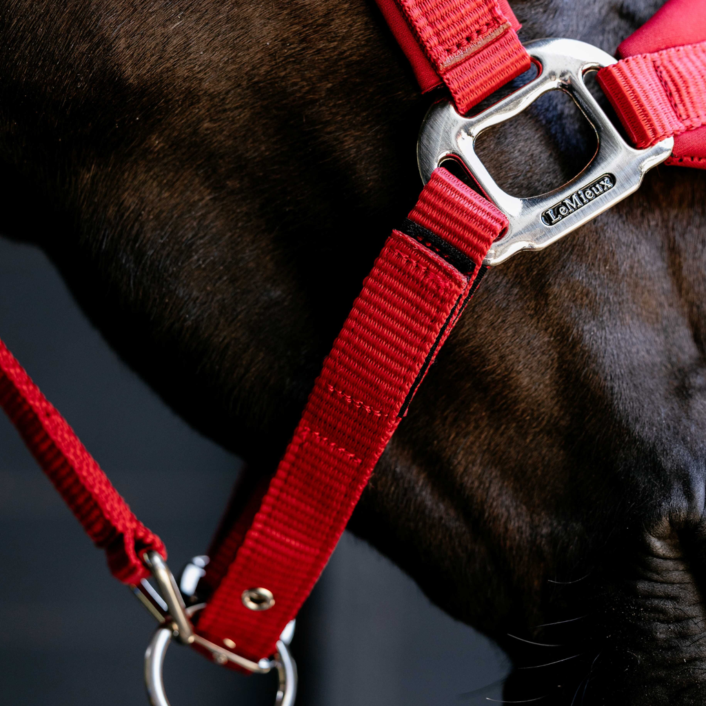 LeMieux Breakaway Vogue Headcollar - Chilli