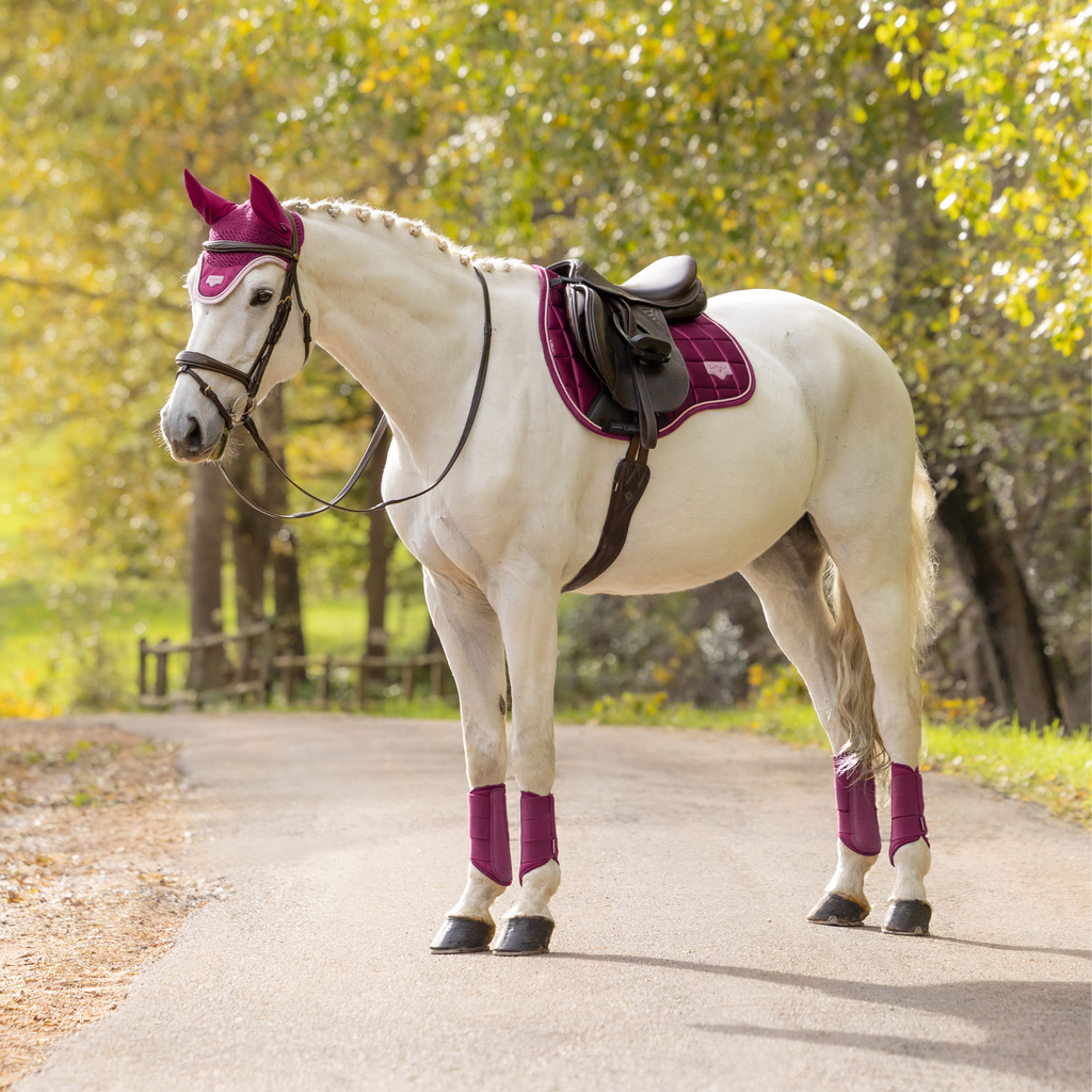LeMieux Loire Classic GP Square - Blackberry