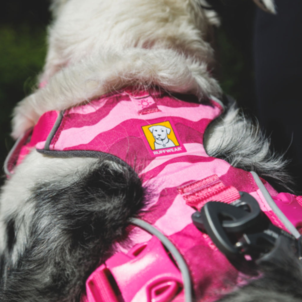 Ruffwear Front Range Harness - Pink Mountains