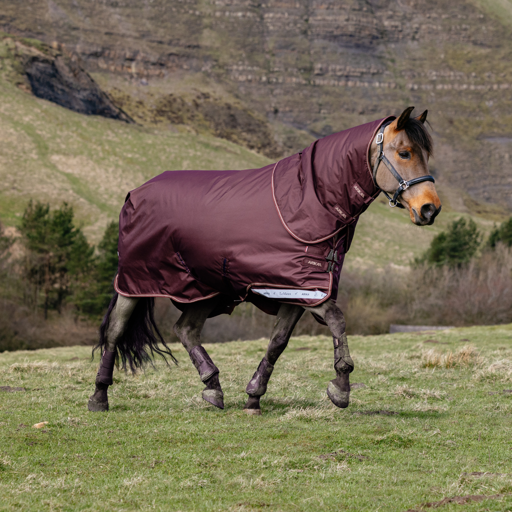 LeMieux Arika Ripstop 100g Turnout Rug - Bramble