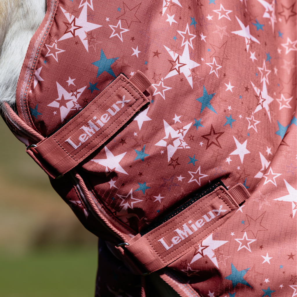 LeMieux Arika Star Turnout Rug 0g - Spiced Earth