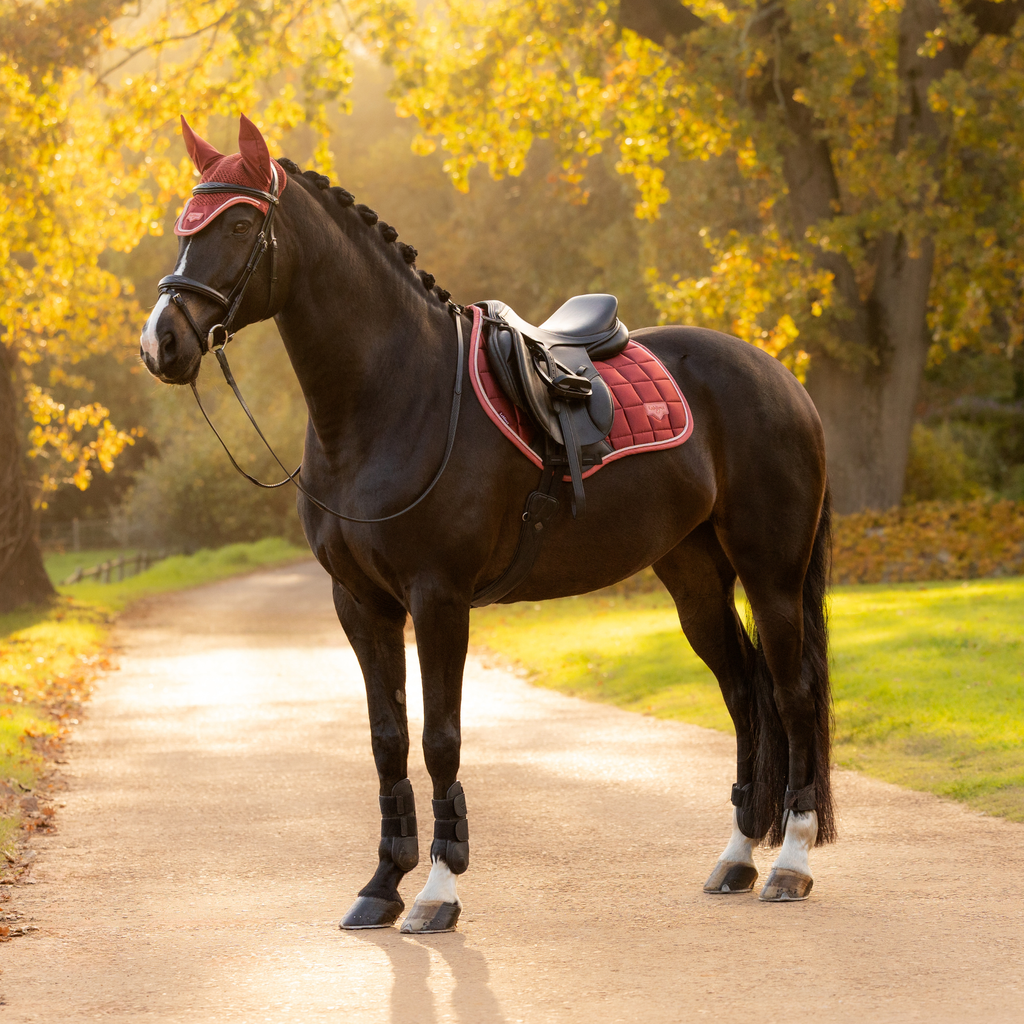 LeMieux Loire Classic Close Contact Square - Russet