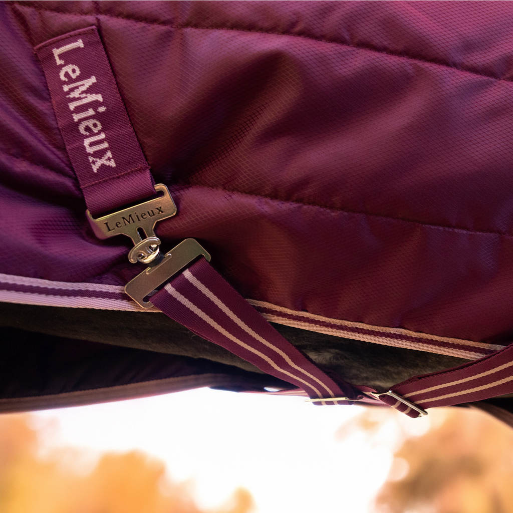 LeMeiux Arika Stable-Tek with Neck 200g - Blackberry