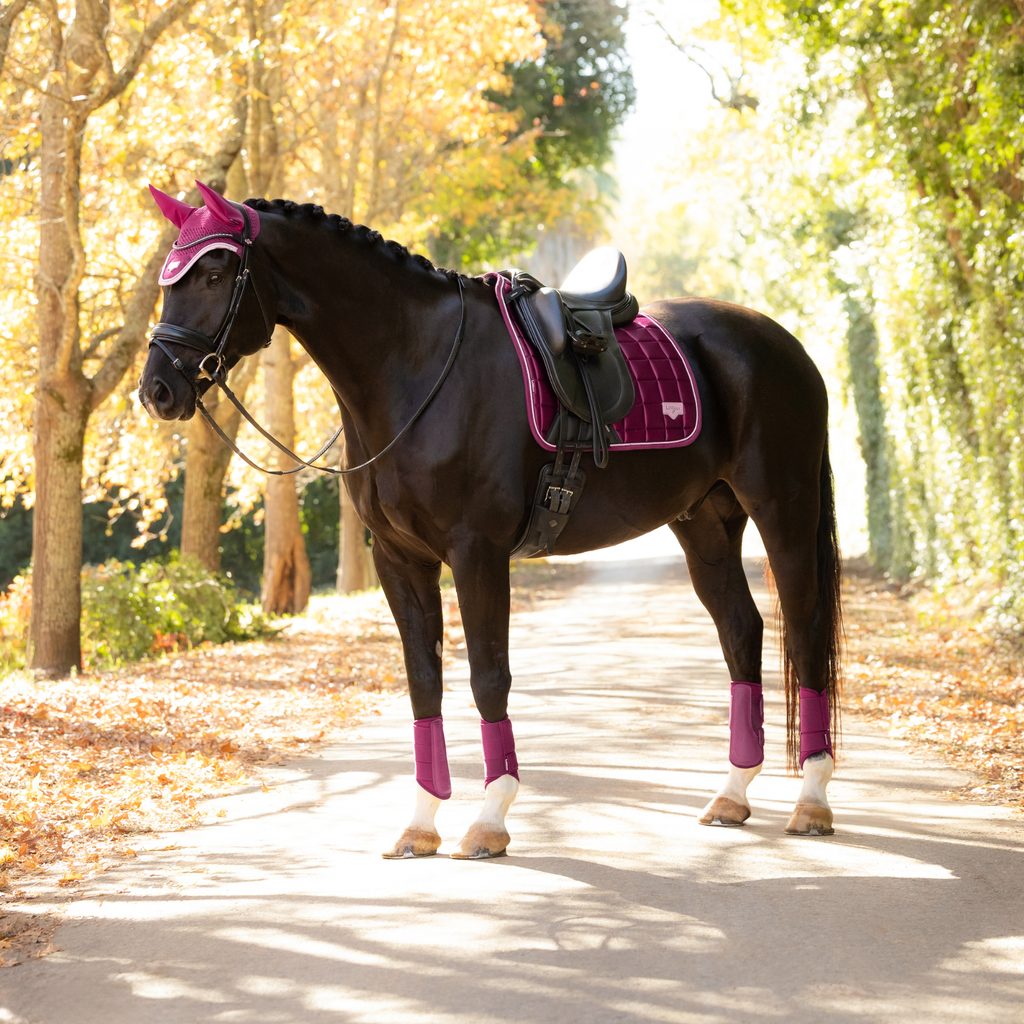 LeMieux Loire Classic Dressage Square - Blackberry