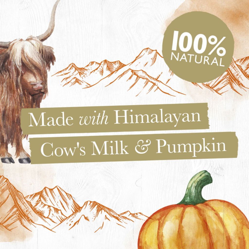 Eden Medium Pumpkin Milk Chew