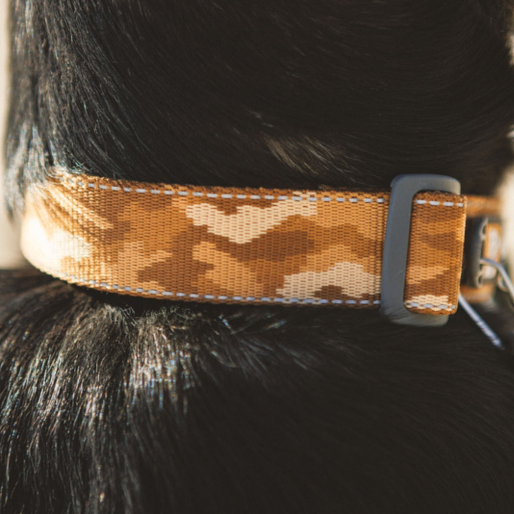 Ruffwear Crag Collar - Desert Spice