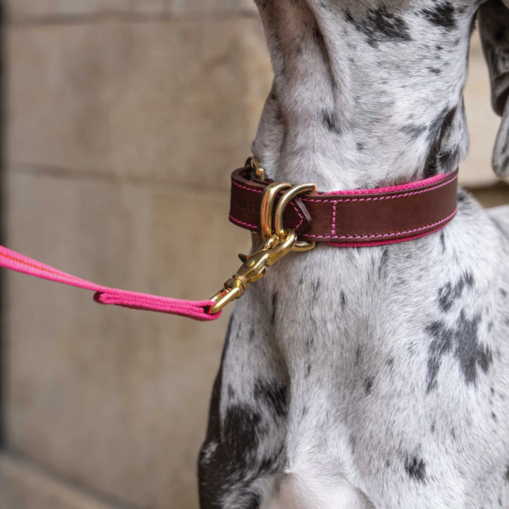 Ruff & Tumble Blakeney Leather Dog Collar - Fuschia