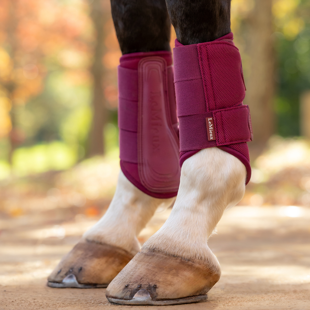 LeMieux Arika Mesh Brushing Boots - Blackberry