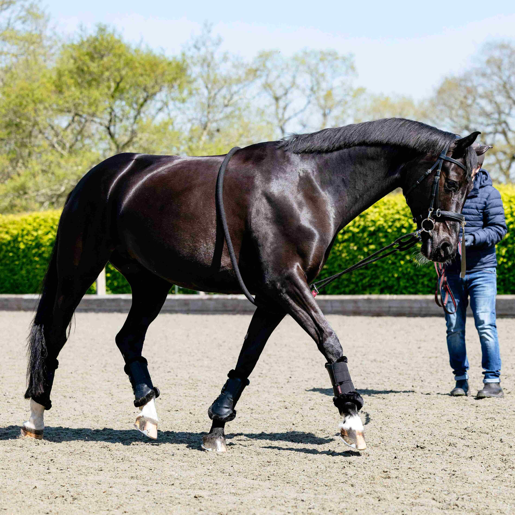 LeMieux Rope Lunging Aid - Black