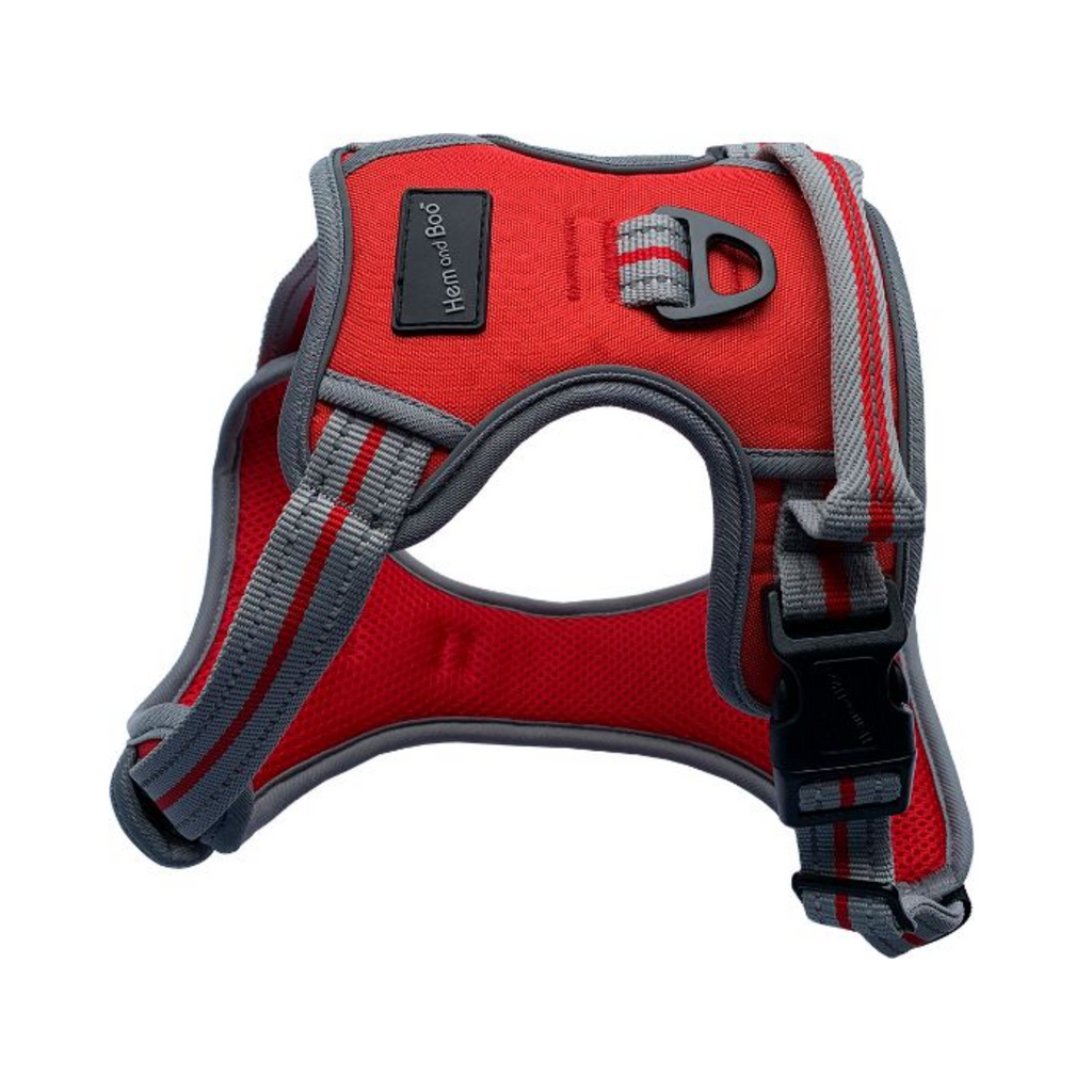 Hemmo and Co Sports Harness - Red