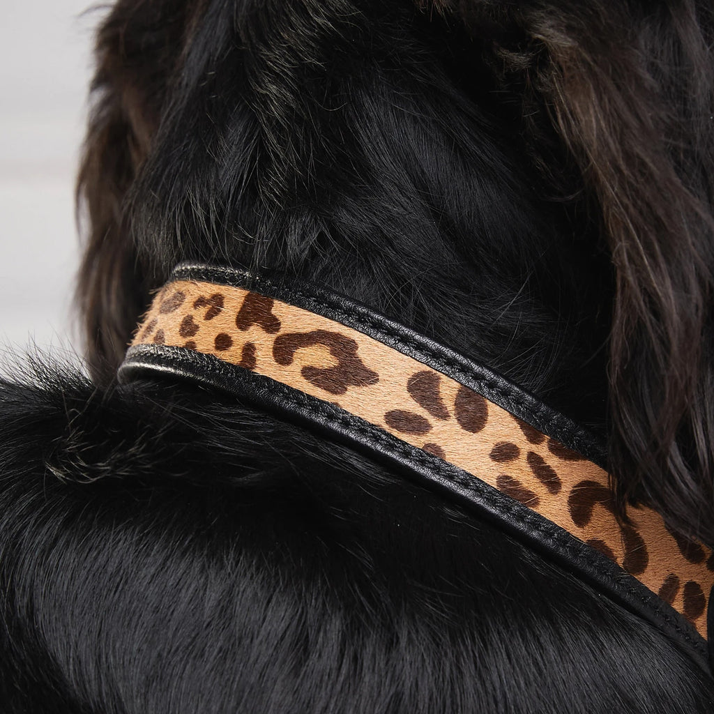 Holland Cooper Classic Dog Collar - Black/Leopard
