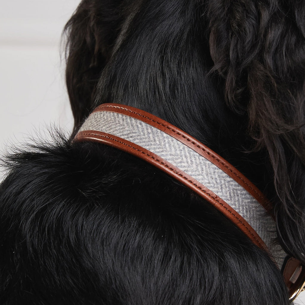 Holland Cooper Classic Dog Collar - Chestnut Tweed