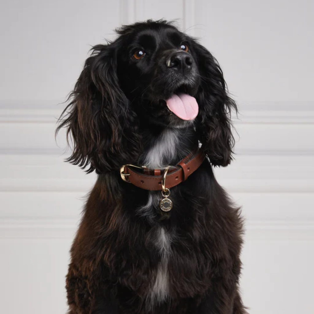 Holland Cooper Classic Dog Collar - Chestnut Tweed