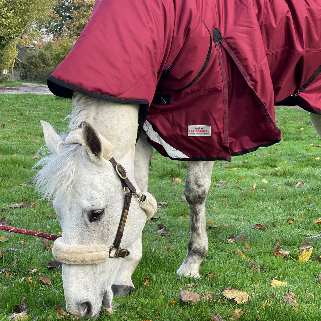 R&R Country 300g Turnout Combo Rug