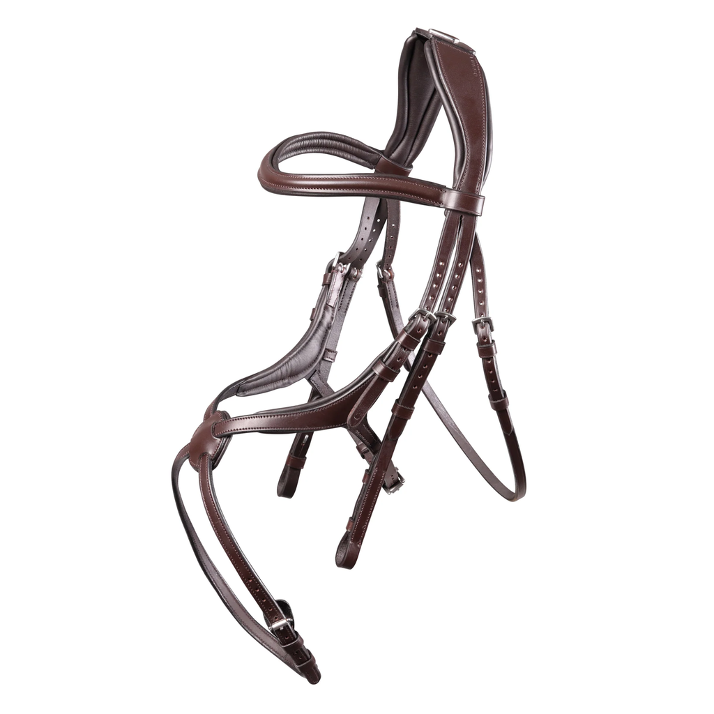 Velociti Lusso Grackle Bridle - Havana