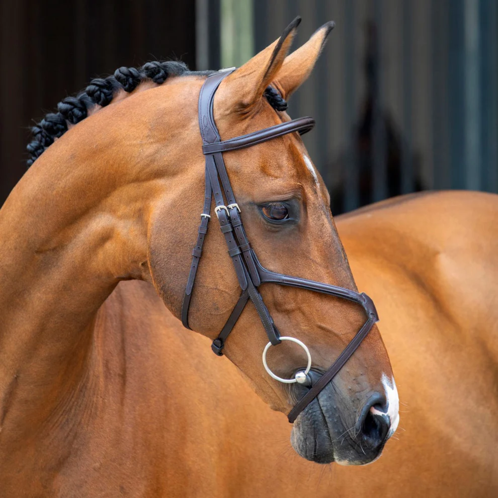 Velociti Lusso Grackle Bridle - Havana