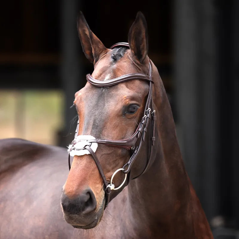 Velociti Lusso Elite Grackle Bridle - Havana