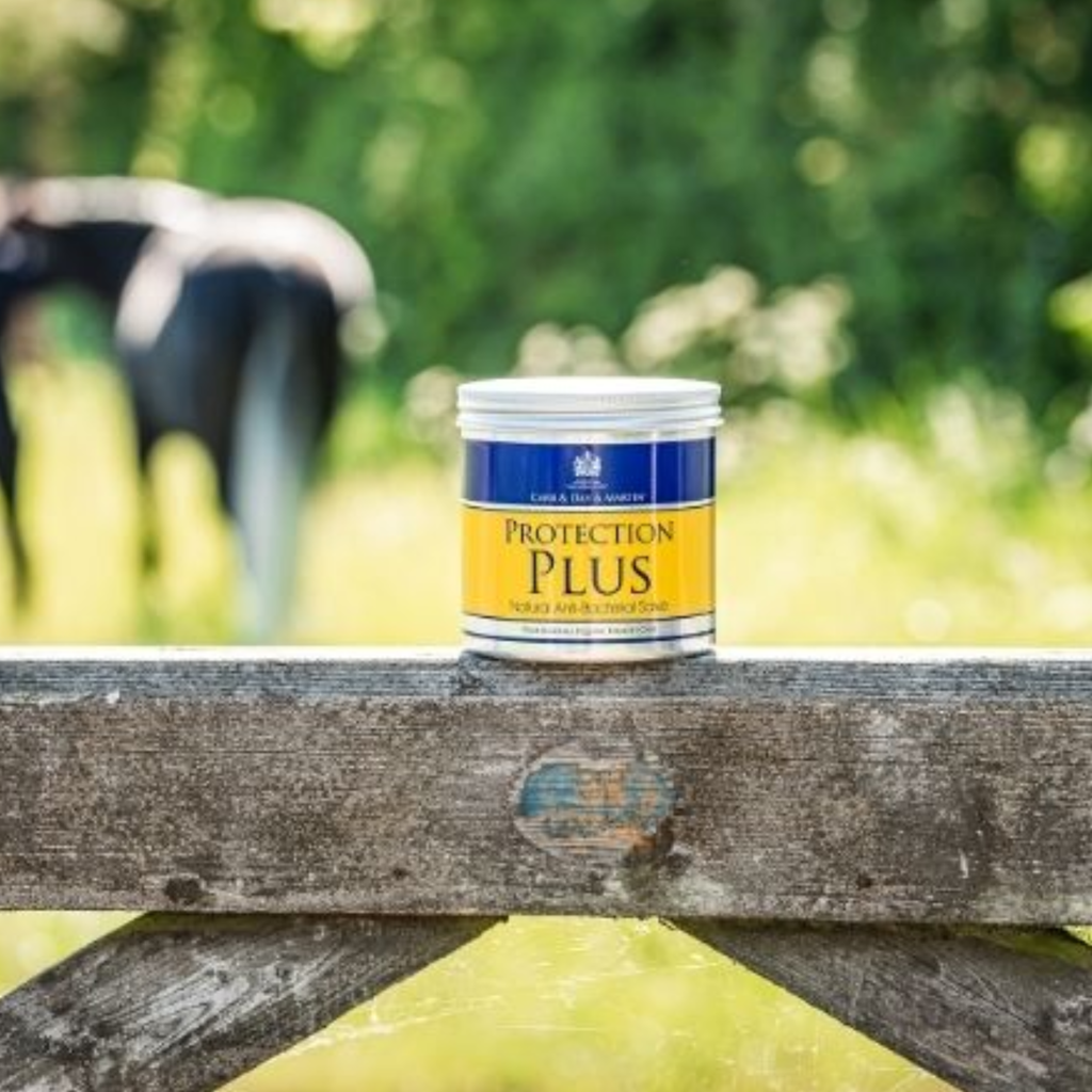 Carr Day Martin Protection Plus - 500g