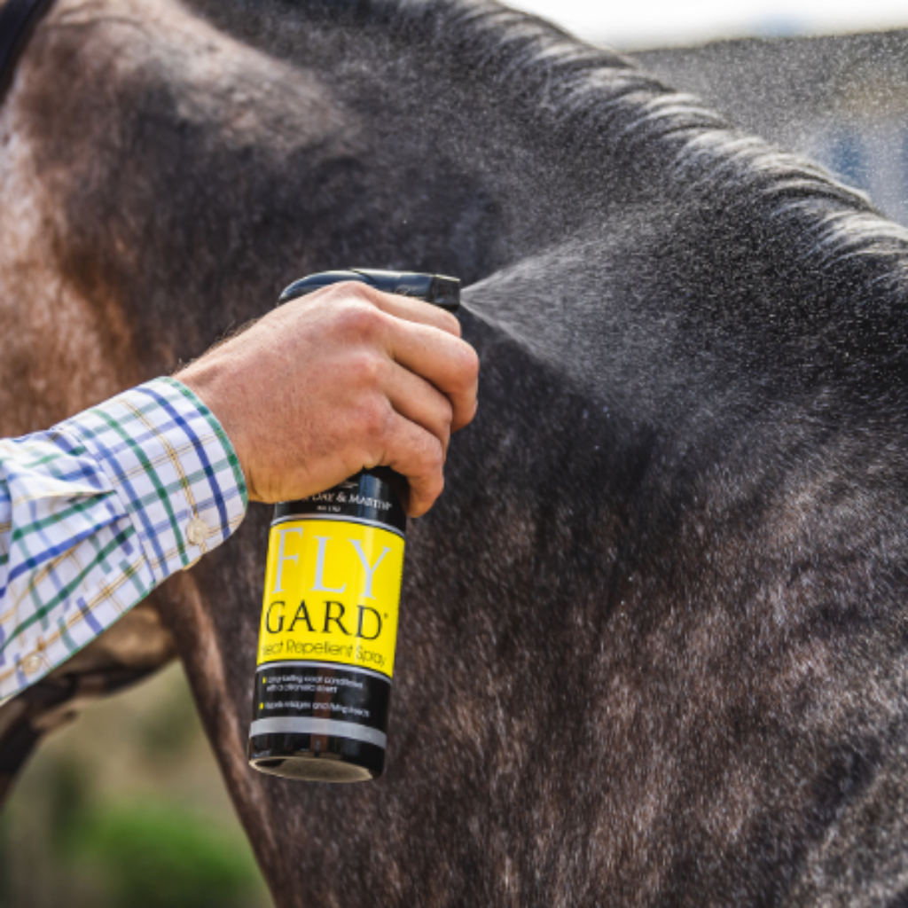 Carr Day Martin Flygard - 500ml