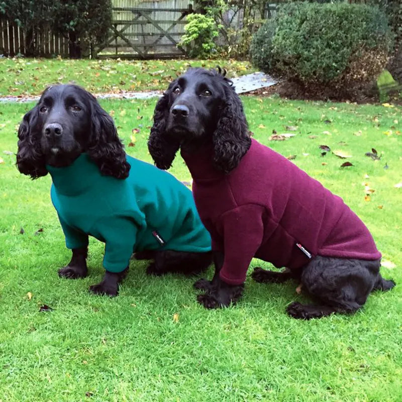 HOTTERdog Dog Jumper - Forest Green