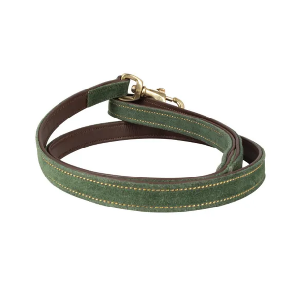 Benji & Flo Noble Suede Dog Lead - Green & Gold 18 inch 20cm