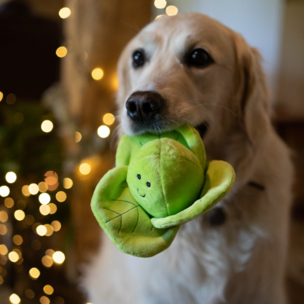 Petface Sprihaa Sprout Plush Christmas Dog Toy