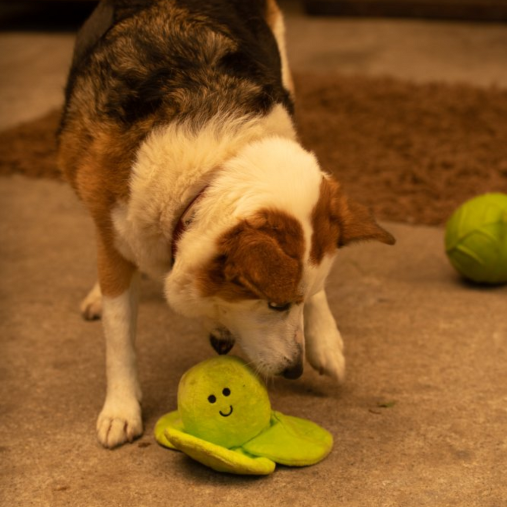 Petface Sprihaa Sprout Plush Christmas Dog Toy