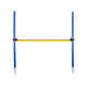 Agility Hurdle Jump
