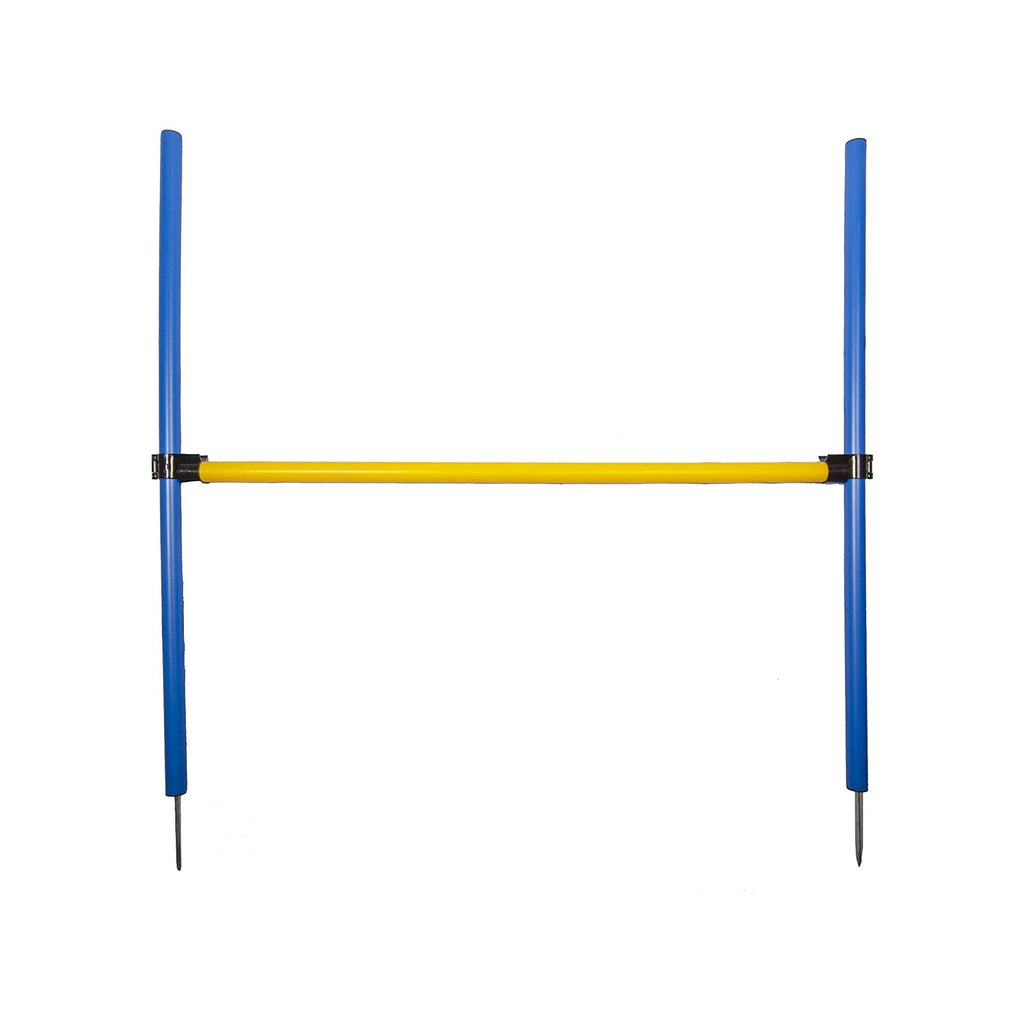 Agility Hurdle Jump