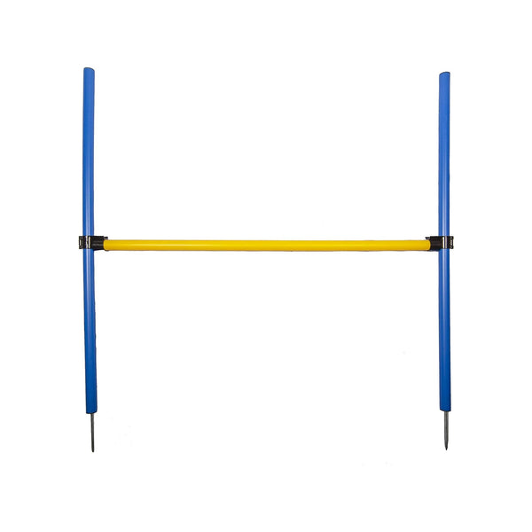 Agility Hurdle Jump
