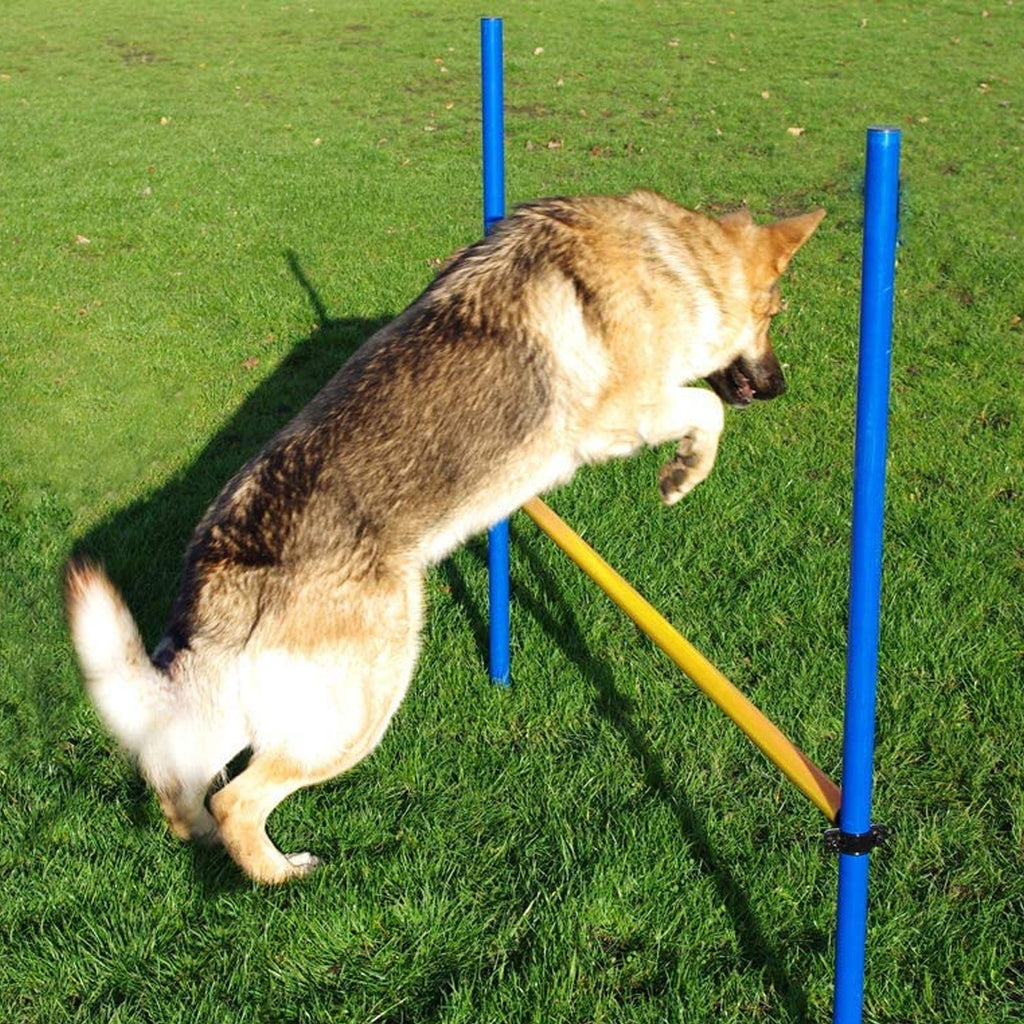 Agility Hurdle Jump