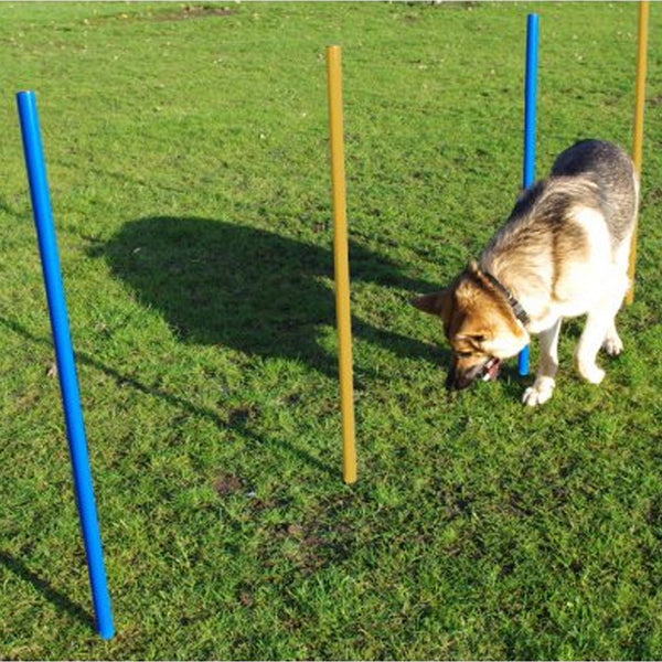 Agility Slalom Poles - 5 Pack