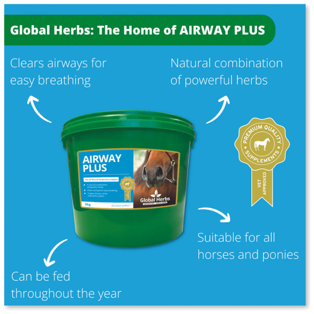 Global Herbs Airway Plus Powder - 1kg