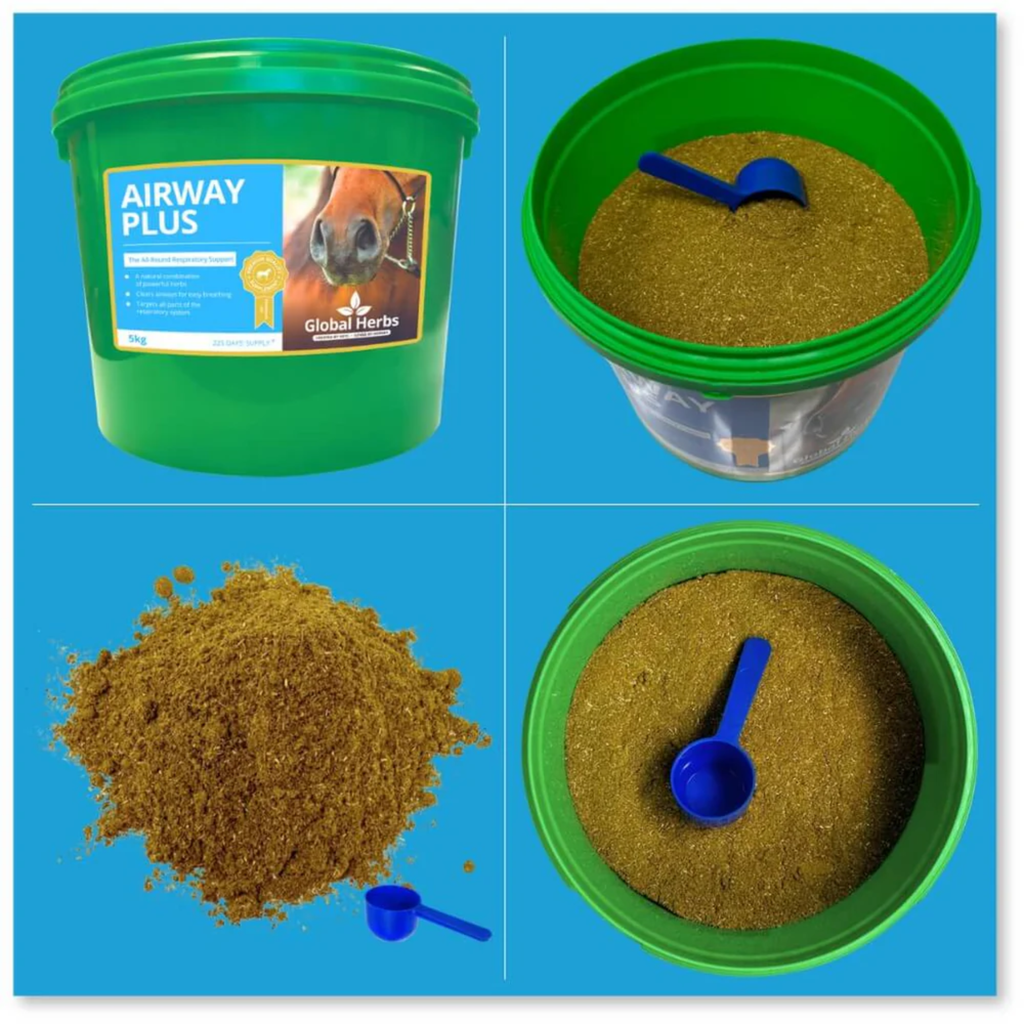 Global Herbs Airway Plus Powder - 1kg