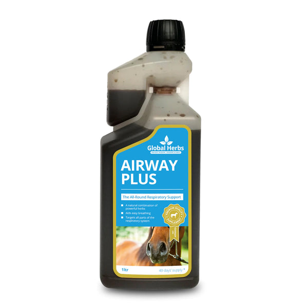 Global Herbs Airway Plus Liquid - 1 Litre