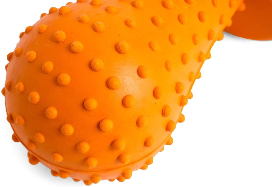 Petface Strong Rubber Teething Chew