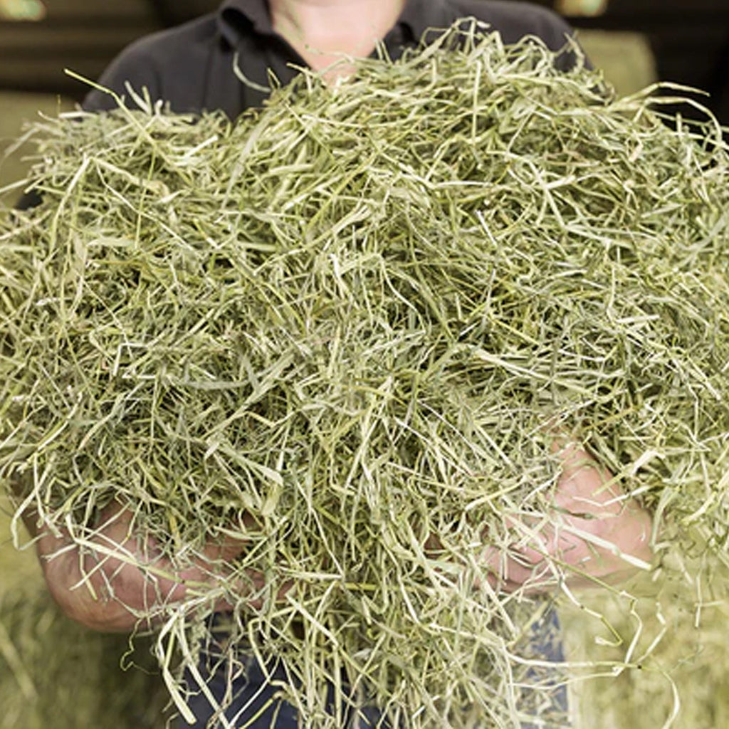 Newhay Timothy Feeding Hay