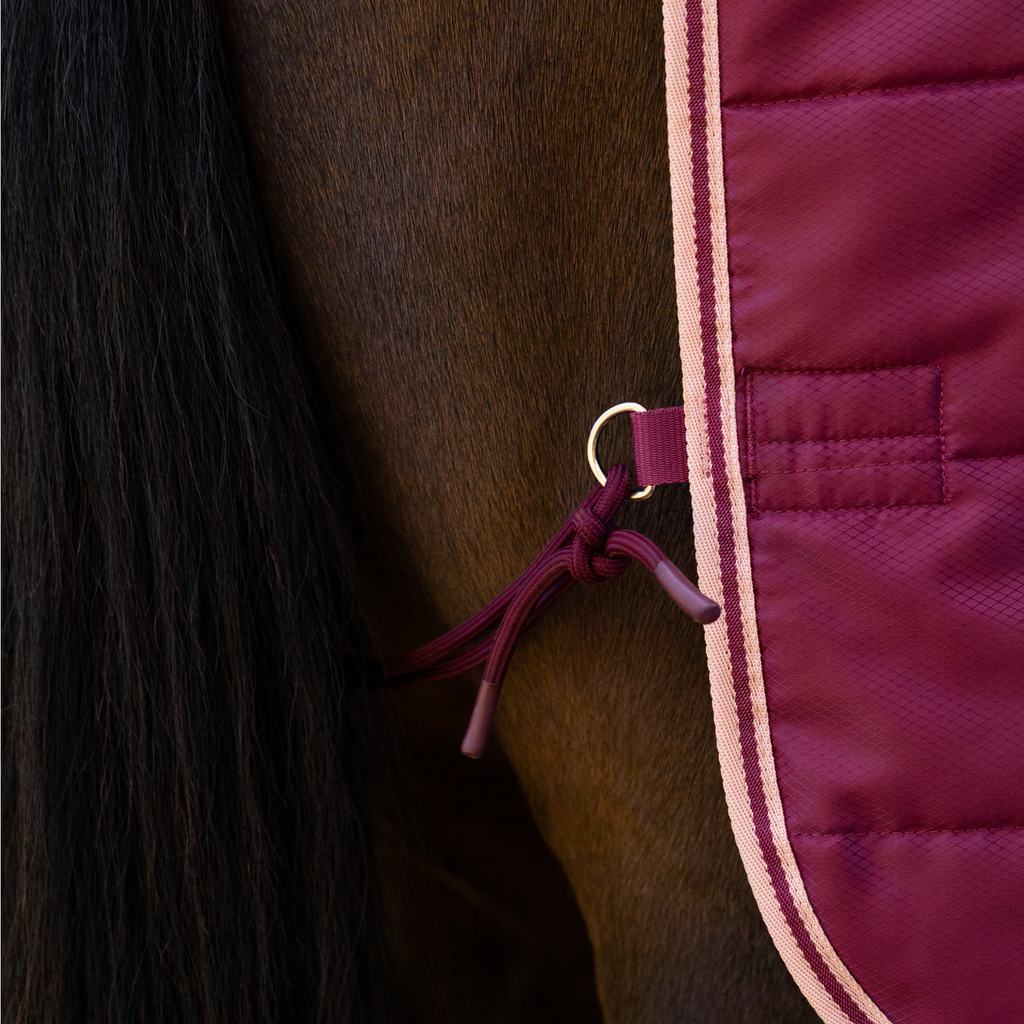 LeMeiux Arika Stable-Tek with Neck 200g - Blackberry
