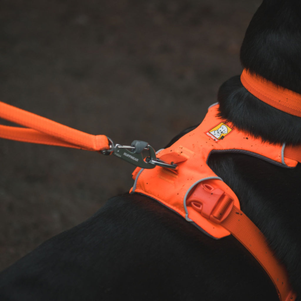 Ruffwear Front Range Lead - Blaze Orange