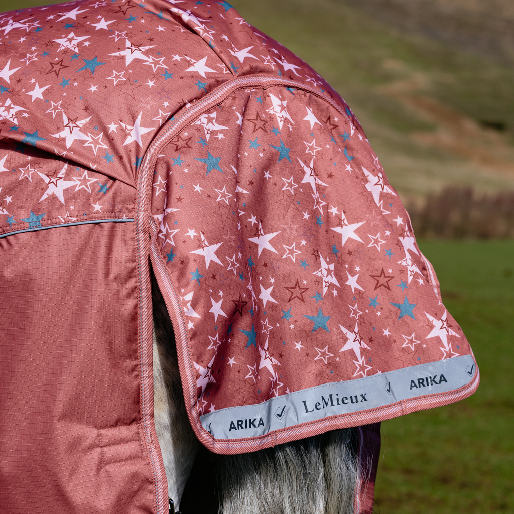 LeMieux Arika Star Turnout Rug 0g - Spiced Earth