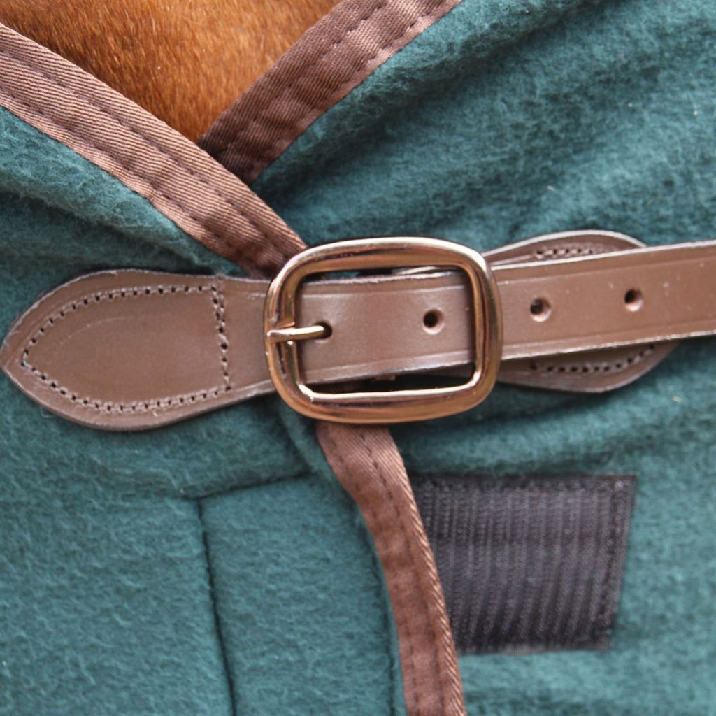 Cameo Fleece Show Rug - Evergreen
