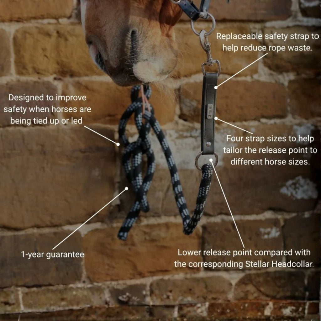 Equilibrium Stellar Safety Leadrope