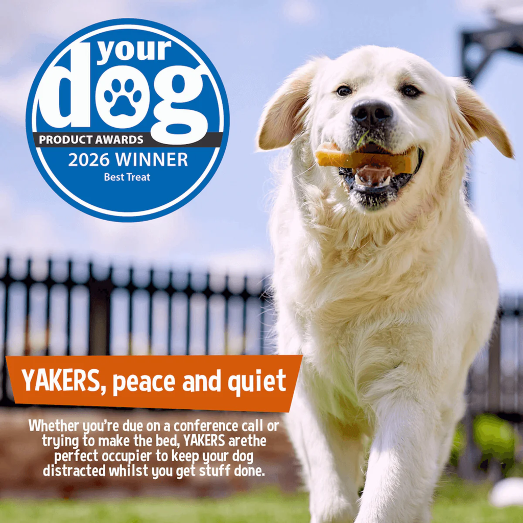 Yakers Dog Chew Apple