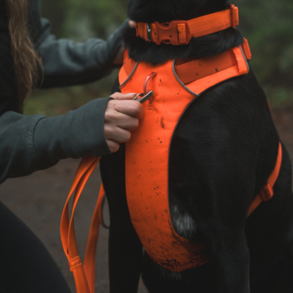 Ruffwear Front Range Harness - Blaze Orange