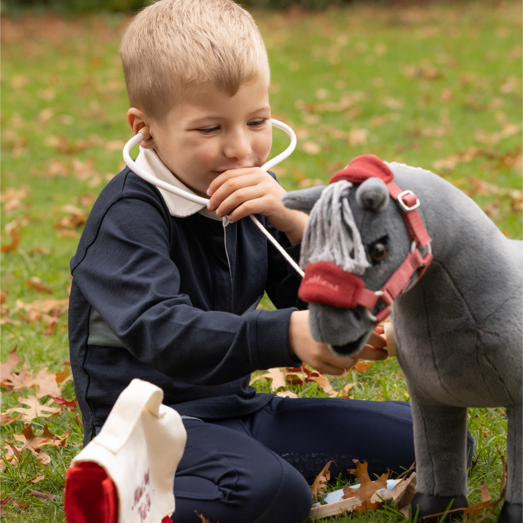 LeMieux Toy Pony Vet Set