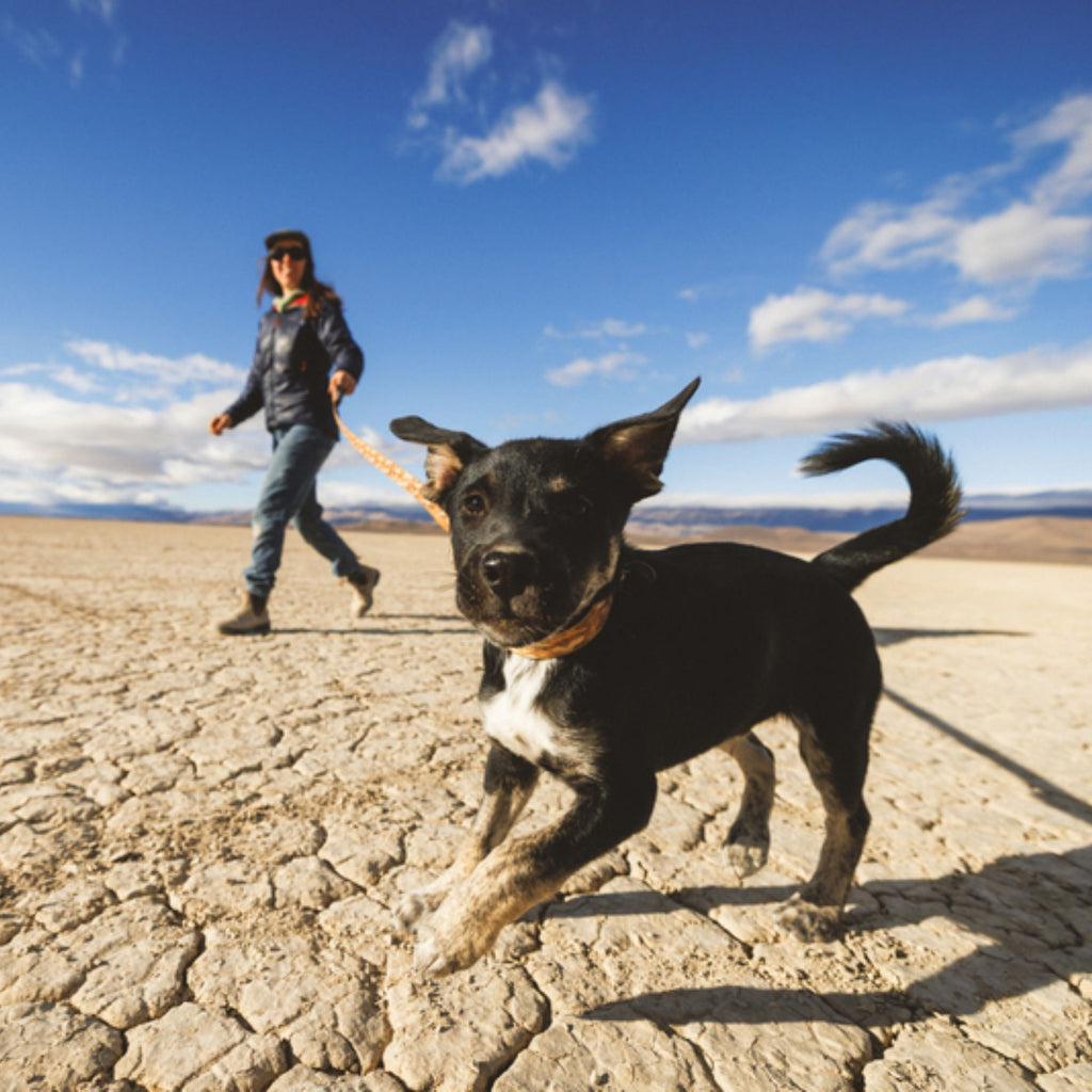 Ruffwear Crag Hands-Free Leash - Desert Spice