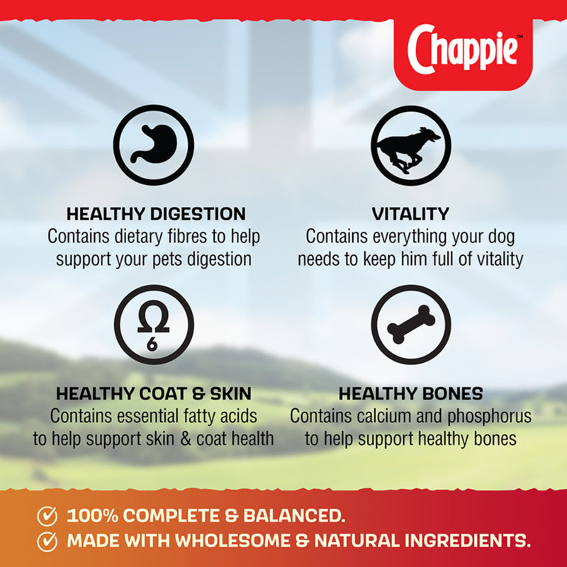Chappie Adult Wet Dog Food Tin - 412g