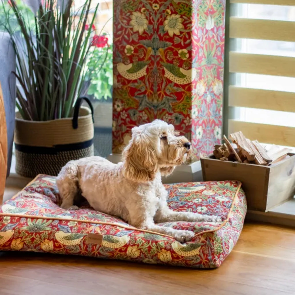William Morris Strawberry Thief Print Pet Mattress - Burgundy